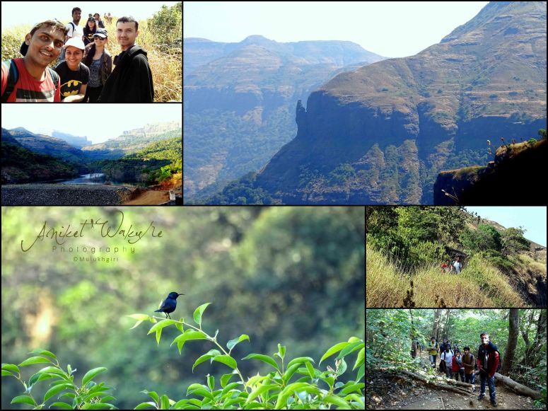 Ratangad grid 01.jpg