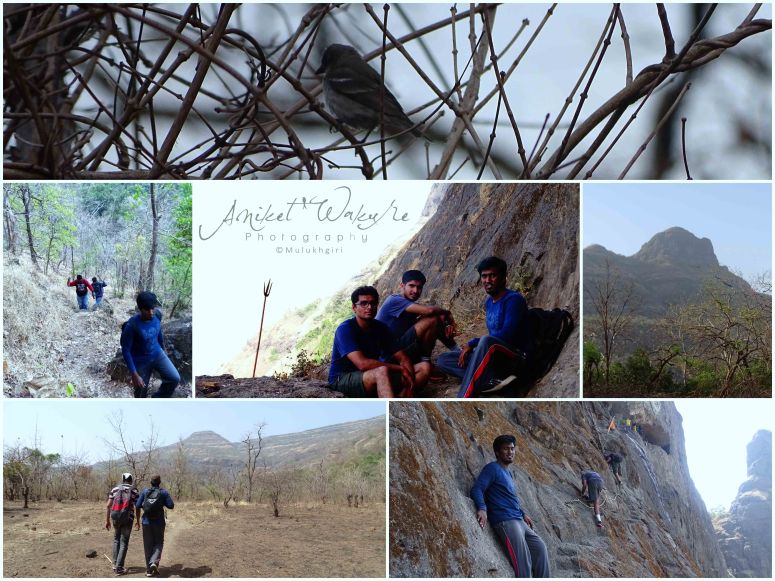 Dhakbahiri Grid 01.jpg