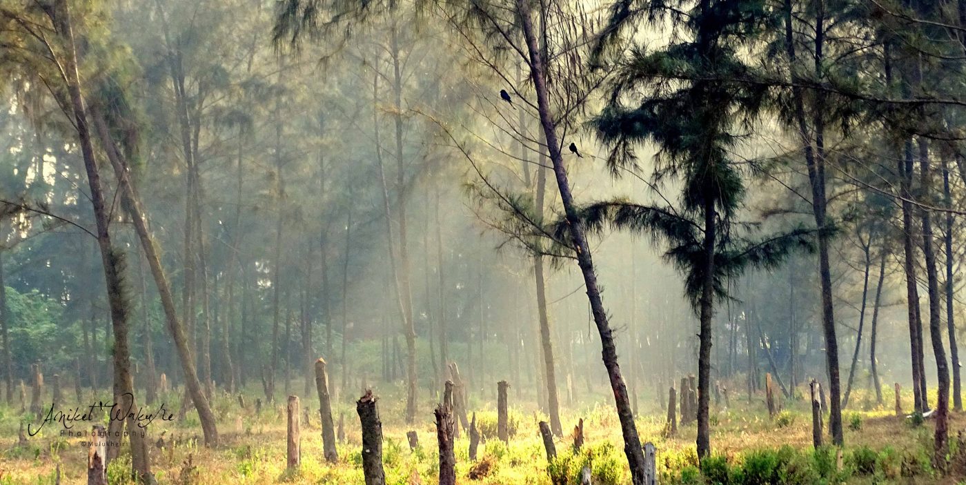 मुलूखगिरी